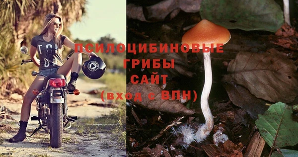 ECSTASY Волоколамск