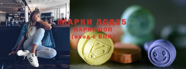 шишки Медногорск