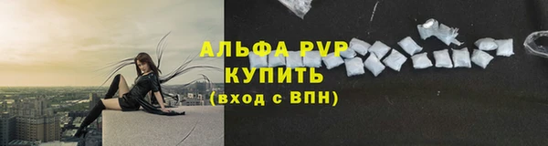 шишки Медногорск