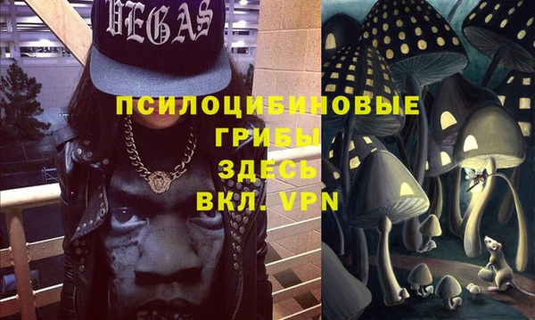 мескалин Медвежьегорск