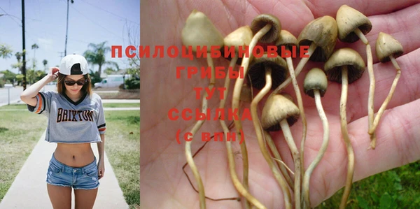 мескалин Медвежьегорск