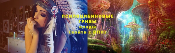 шишки Медногорск